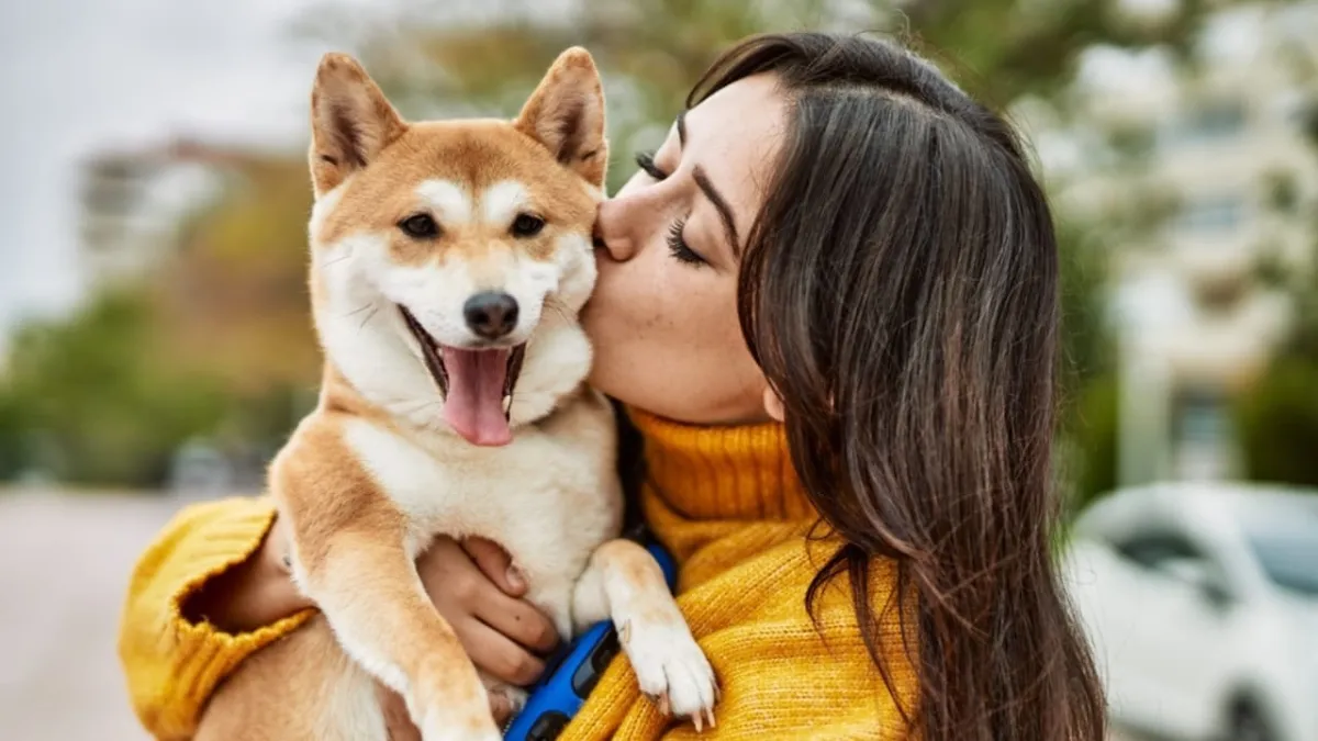 Top most 9 Fun-Loving Dog Breeds for Playful Owners