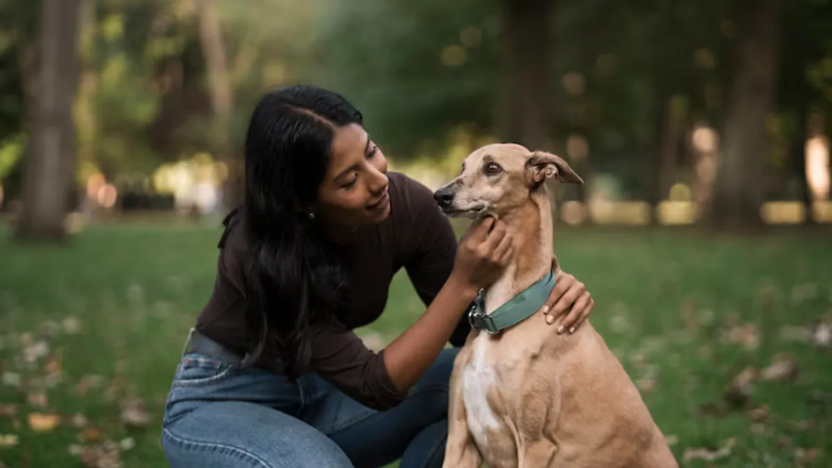 Top 7 Ways Your Dog Talks to You Without Words